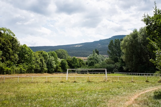 green grass field in La Palud-sur-Verdon France