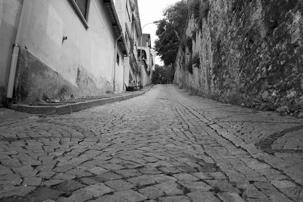 grayscale photography of alleway