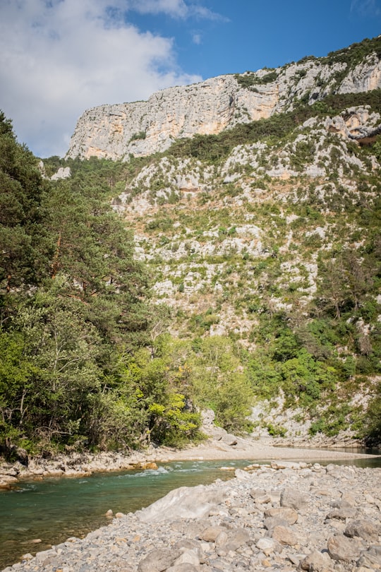rocky mountain covered with vegetation in Gorges du Verdon France