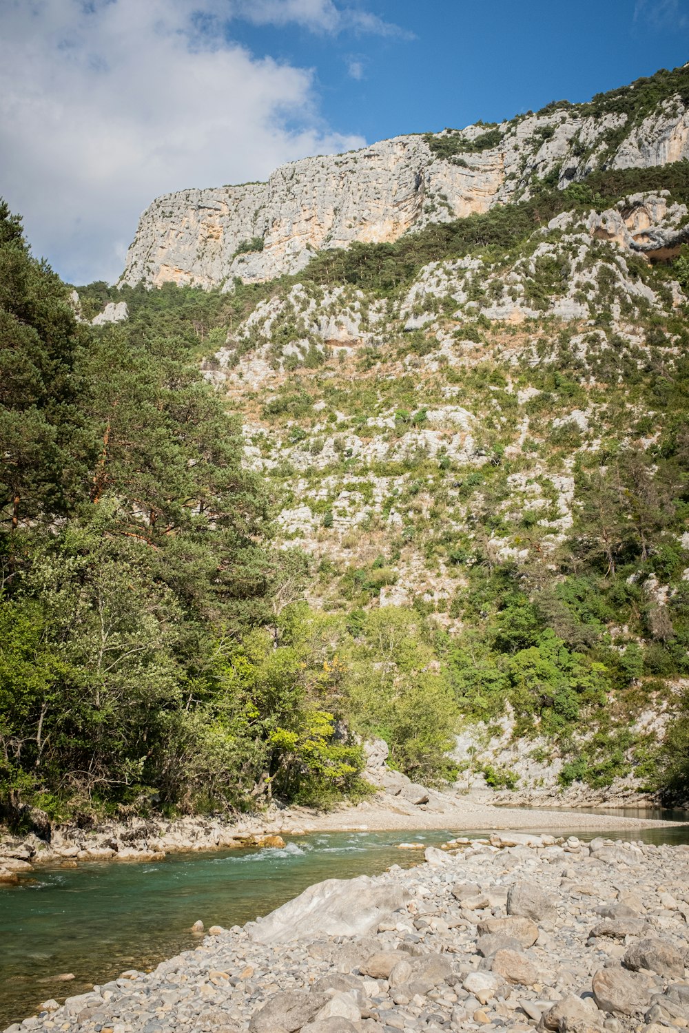 rocky mountain covered with vegetation