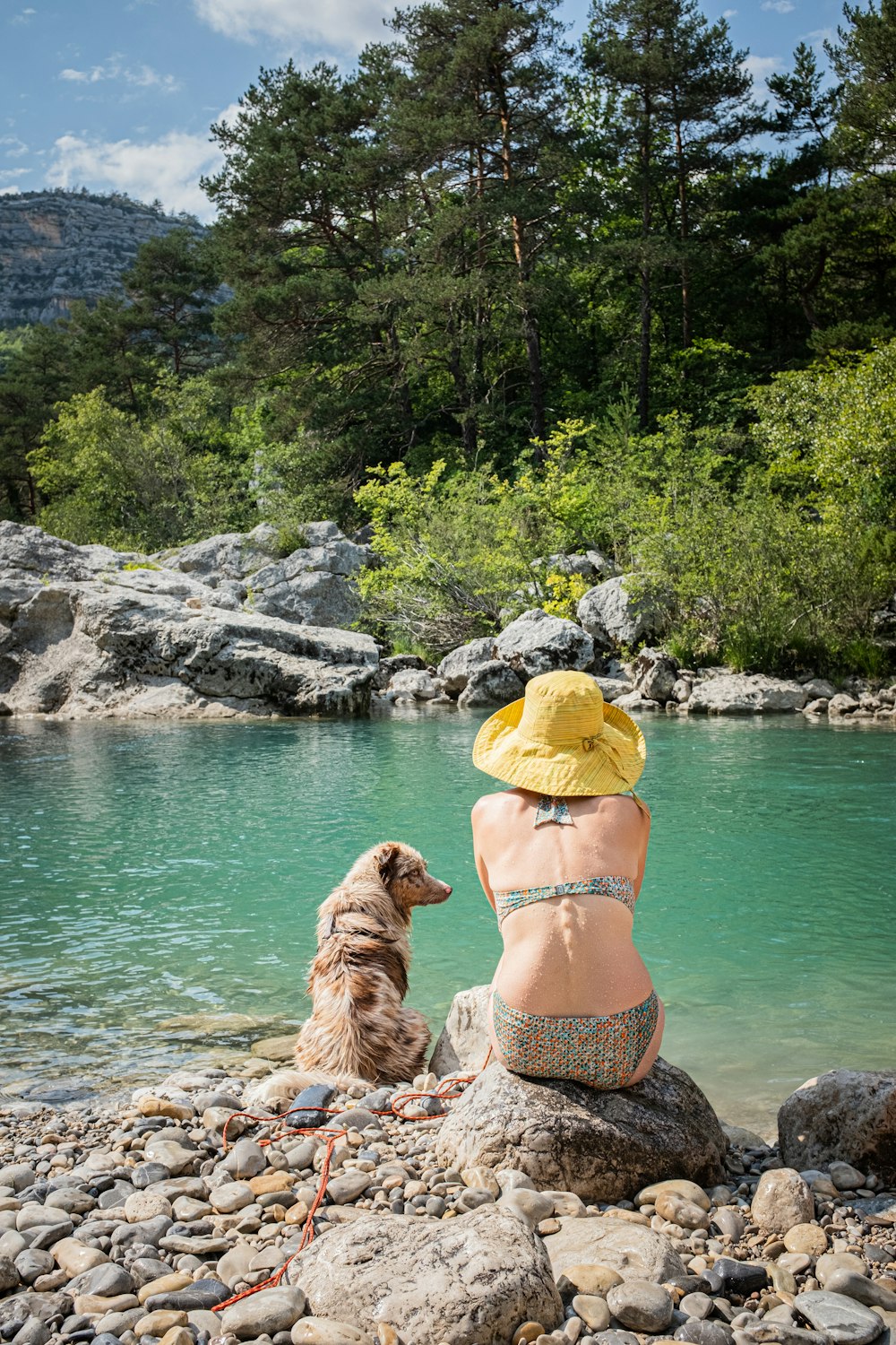 Mulher usa biquíni ao lado de cachorro no lago