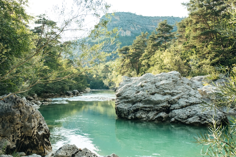 森と森の間の湖