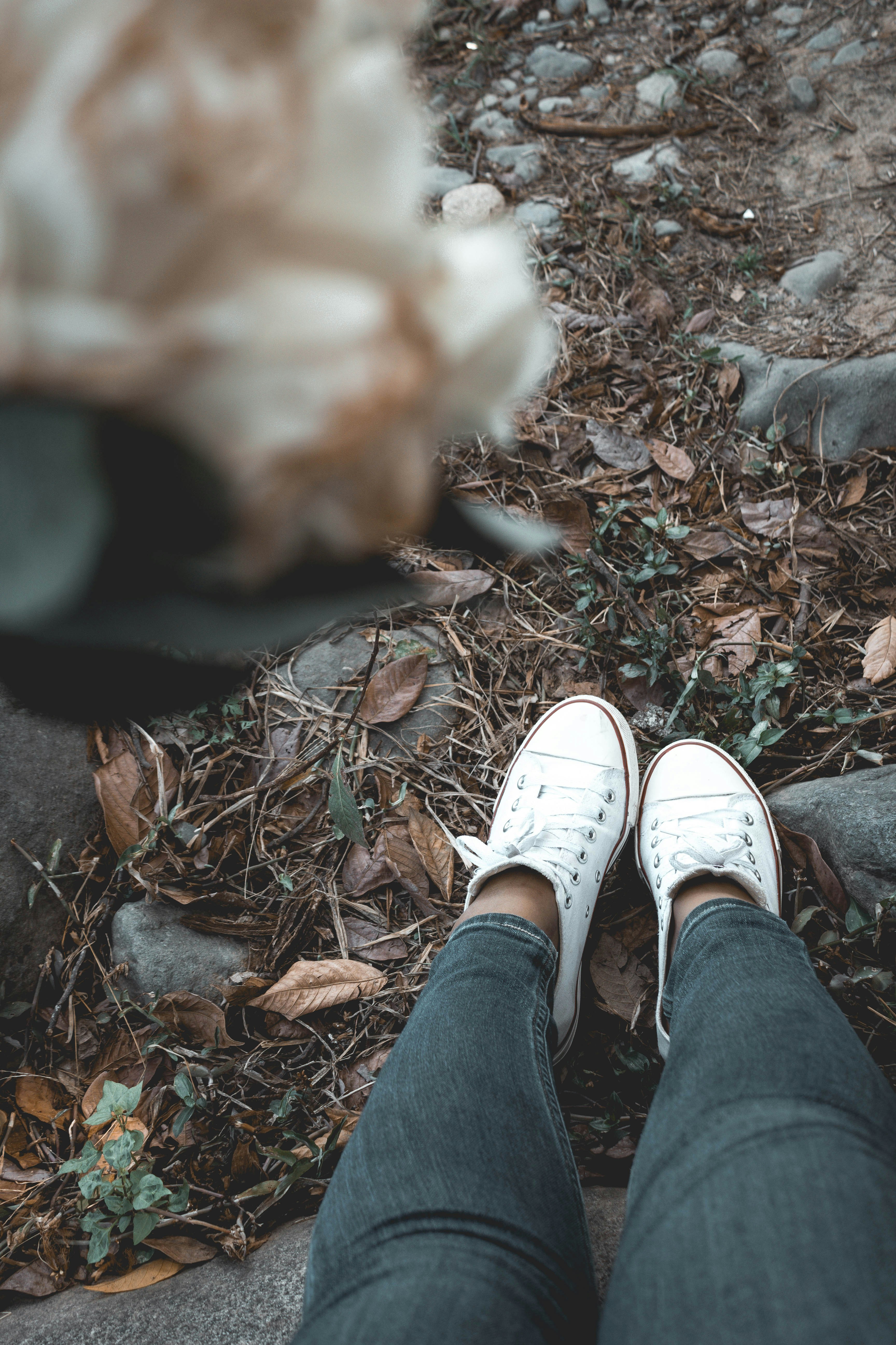 Photo by honeyyanibel