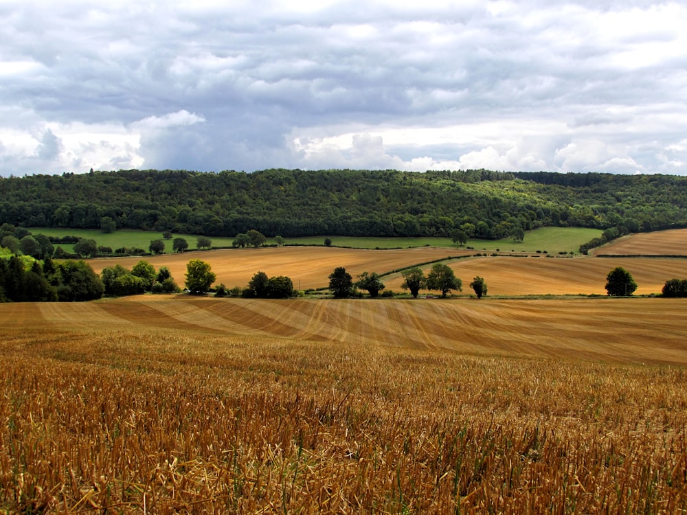 brown and green fields under cloudy sky during daytime