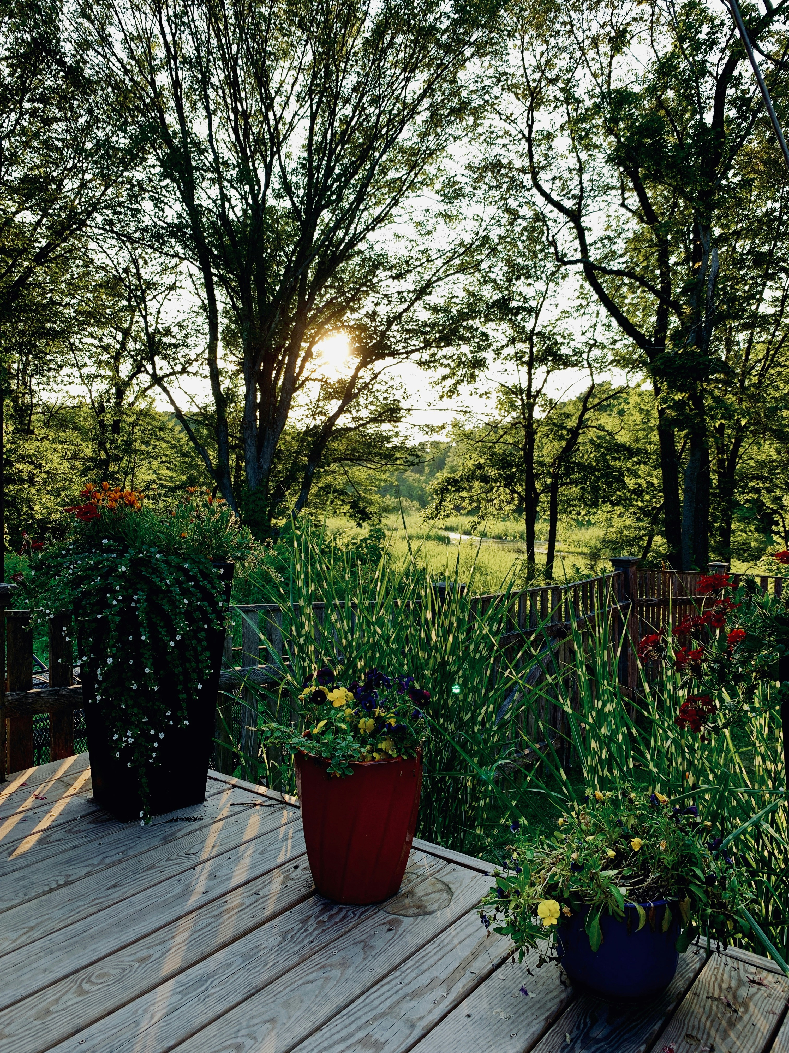 WPC Decking Planks