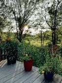 A wooden deck overlooks a lush, green landscape with the sun shining through tall trees. Three potted plants with various colorful flowers are placed on the deck, with a fence and more vegetation in the background.