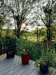 A completed deck overlooking a lush green backyard on a sunny day.