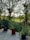 A wide shot of a newly built wooden deck overlooking a sunny backyard with outdoor furniture.