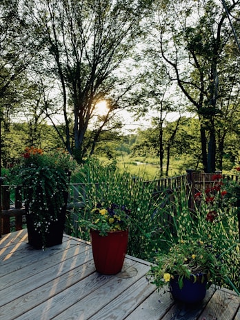 A freshly built cedar deck overlooking a lush Portland backyard on a sunny day.