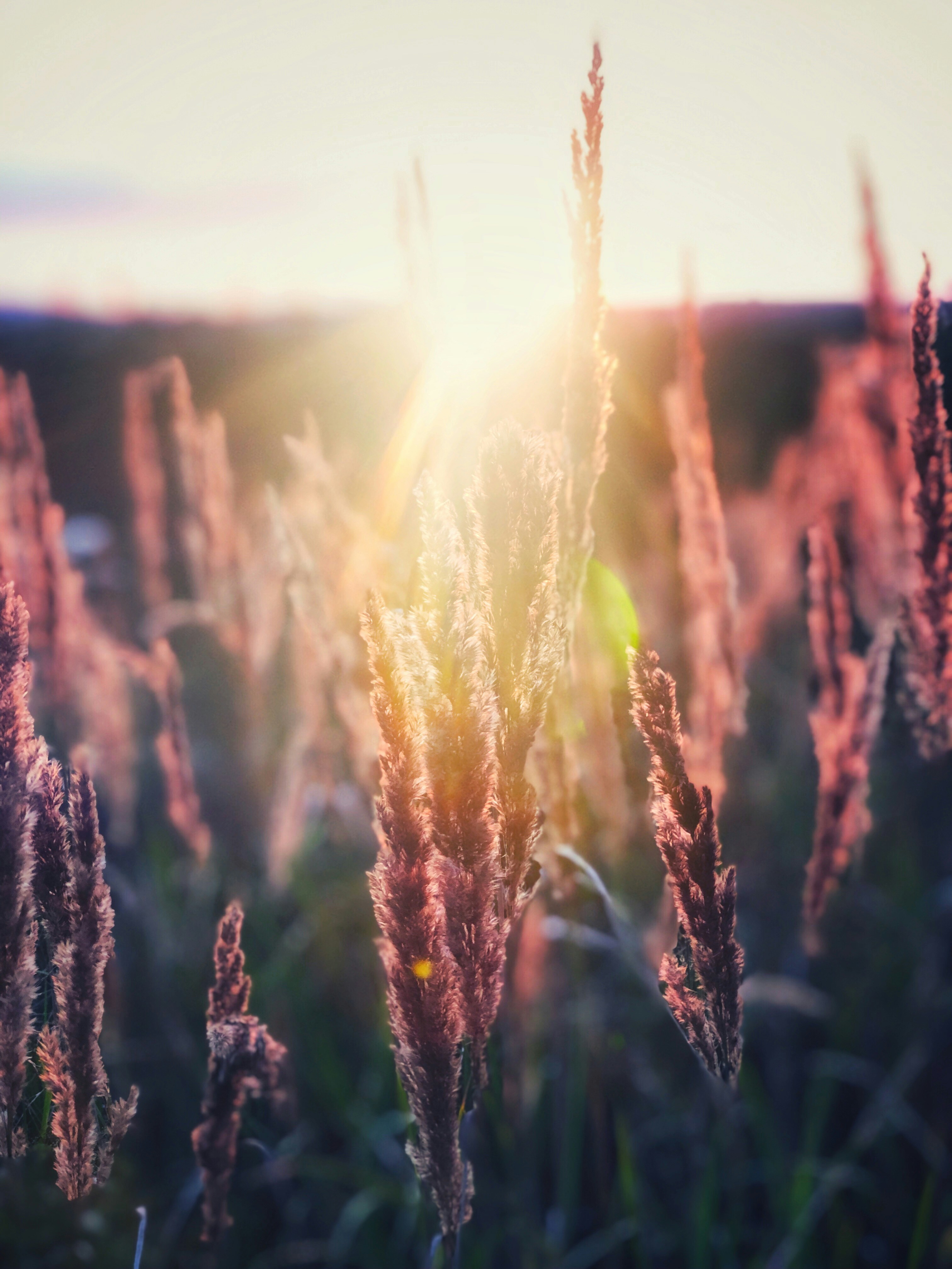 Photo by isaacquesada