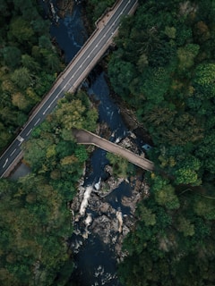 An aerial view of a dense, green forest with a river cutting through it. Two bridges cross the river, one for vehicles and another for pedestrians. The lush greenery surrounds the rocky river, showing the vibrant health of the forest.