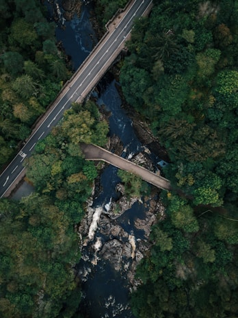 An aerial view of a dense, green forest with a river cutting through it. Two bridges cross the river, one for vehicles and another for pedestrians. The lush greenery surrounds the rocky river, showing the vibrant health of the forest.