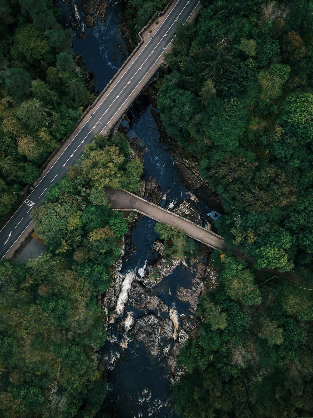 aerial photography of gray concrete bridge