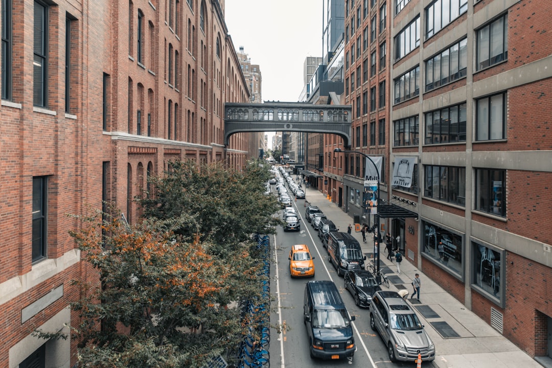 vehicles on roadway during daytime