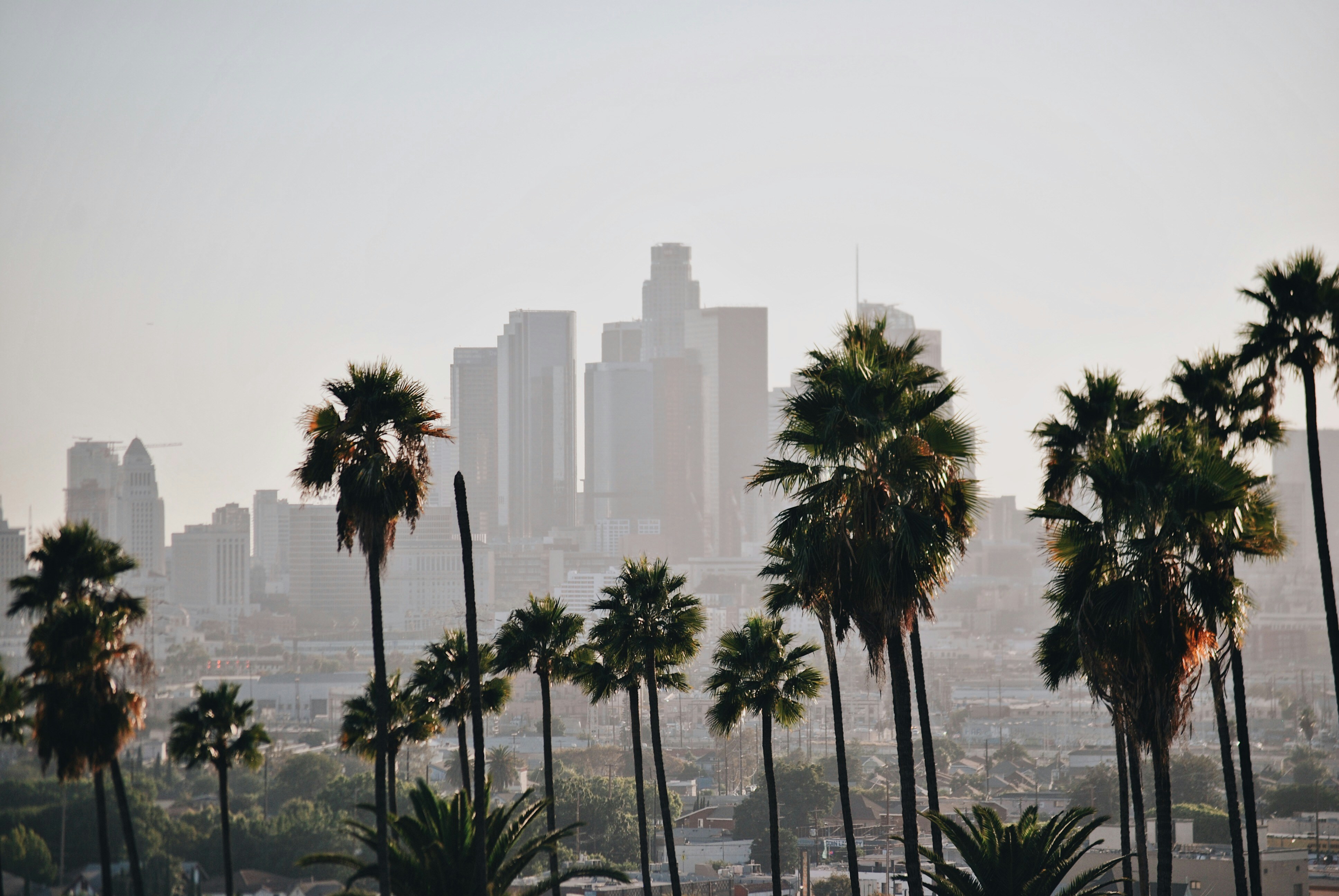 June Market Report | 2025