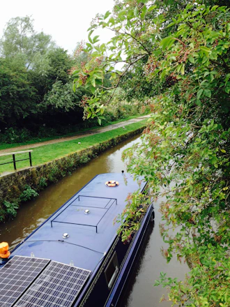 A sleek turquoise all-electric canal boat gliding smoothly on a serene canal under soft sunlight.