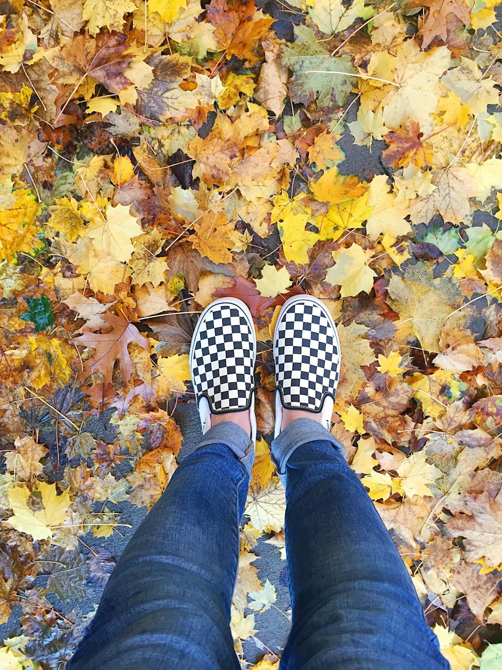 person wearing blue denim jeans and black and white checked slip-on shoes standing