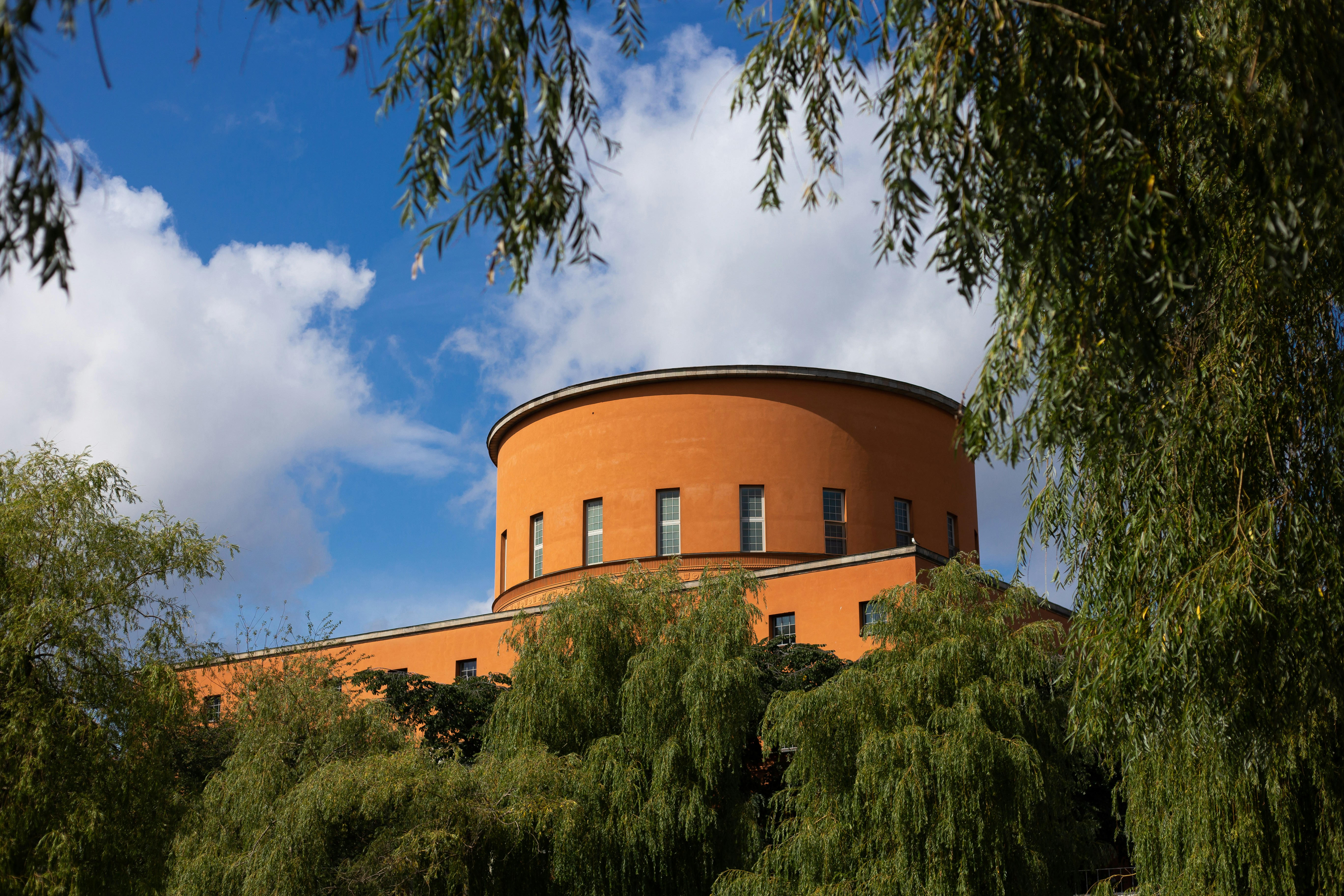 árboles al lado del edificio durante el día