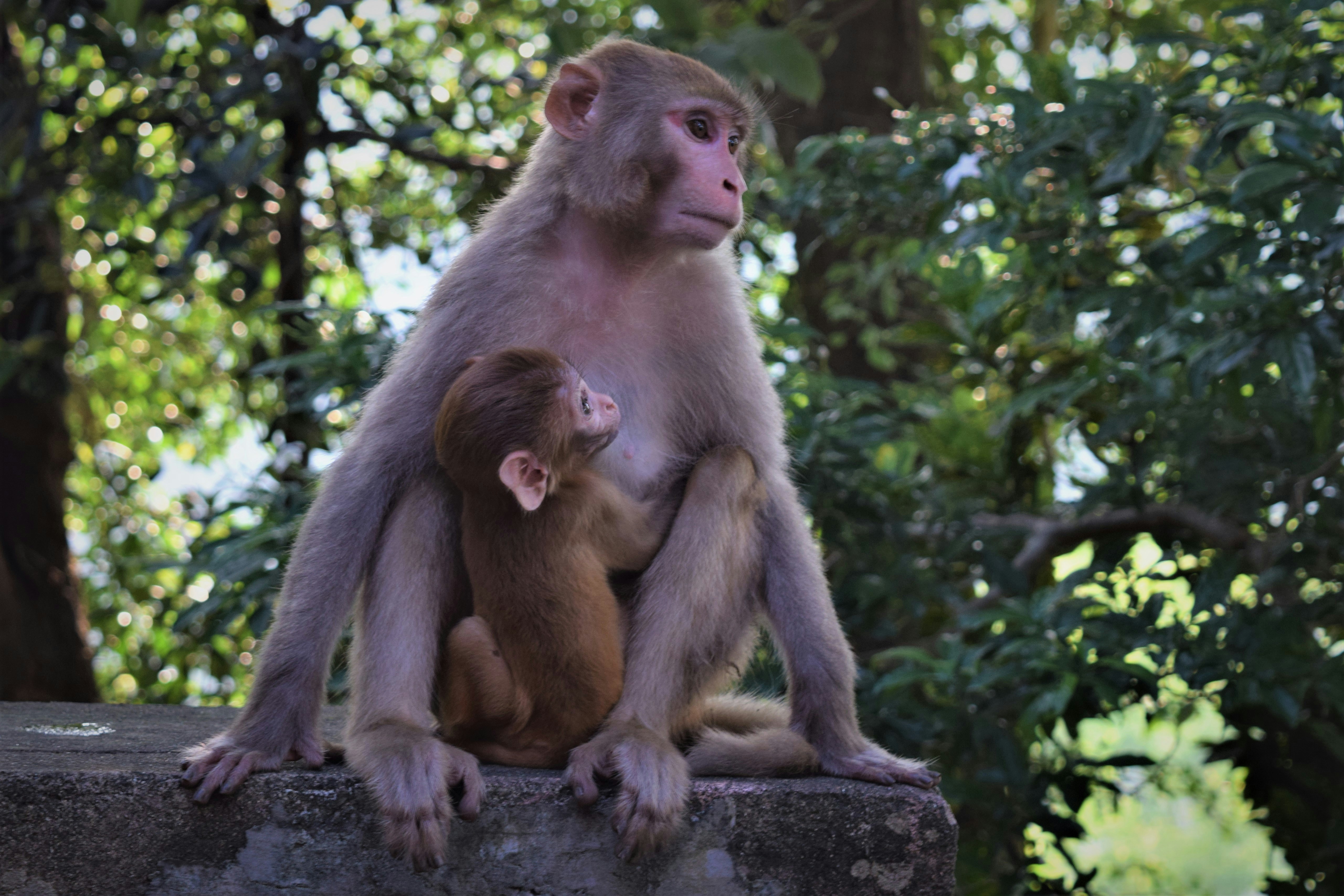 Photo by shishir_pandey