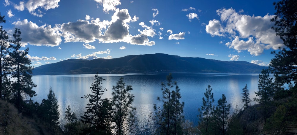 lake and trees