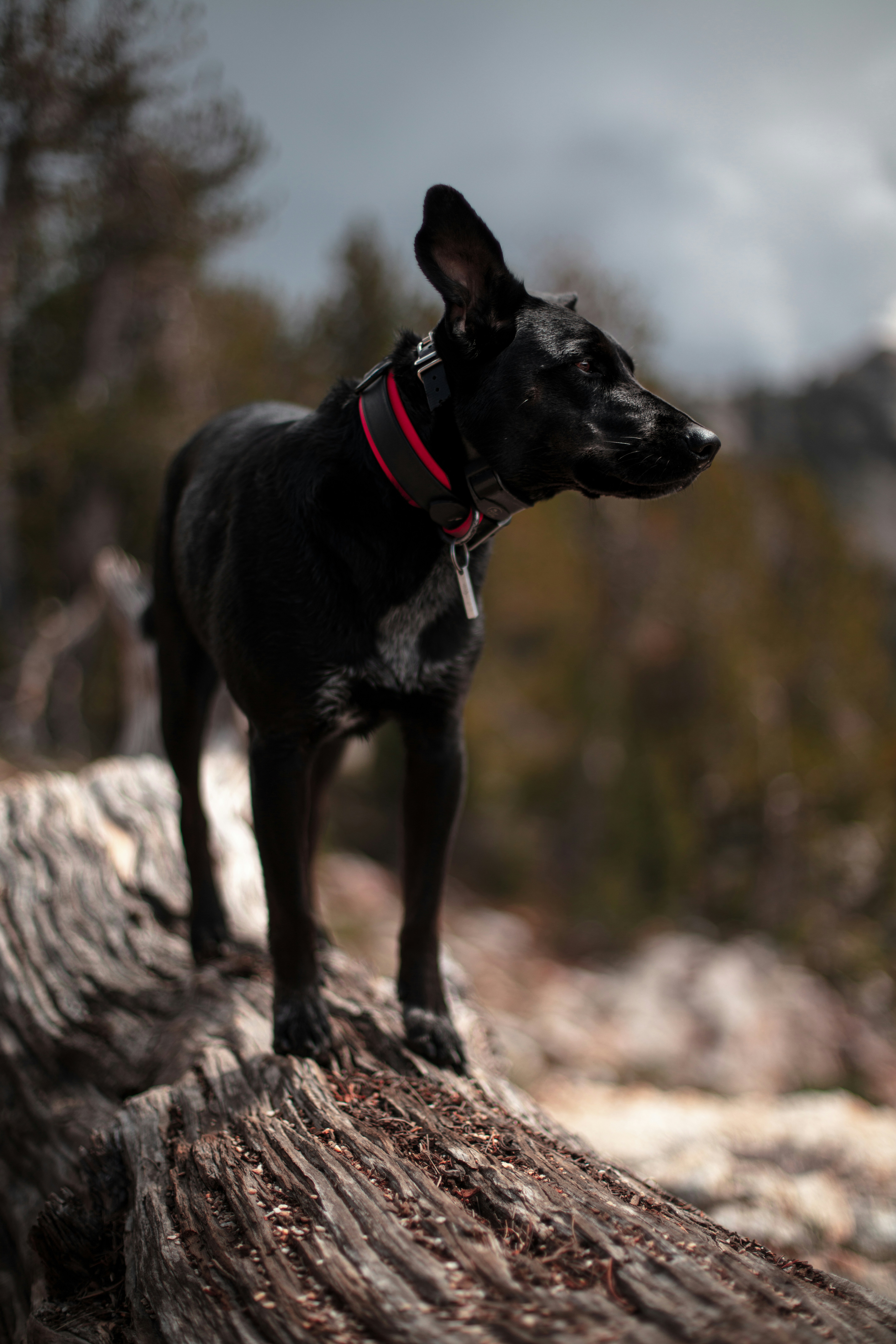 Photo by worldsbetweenlines