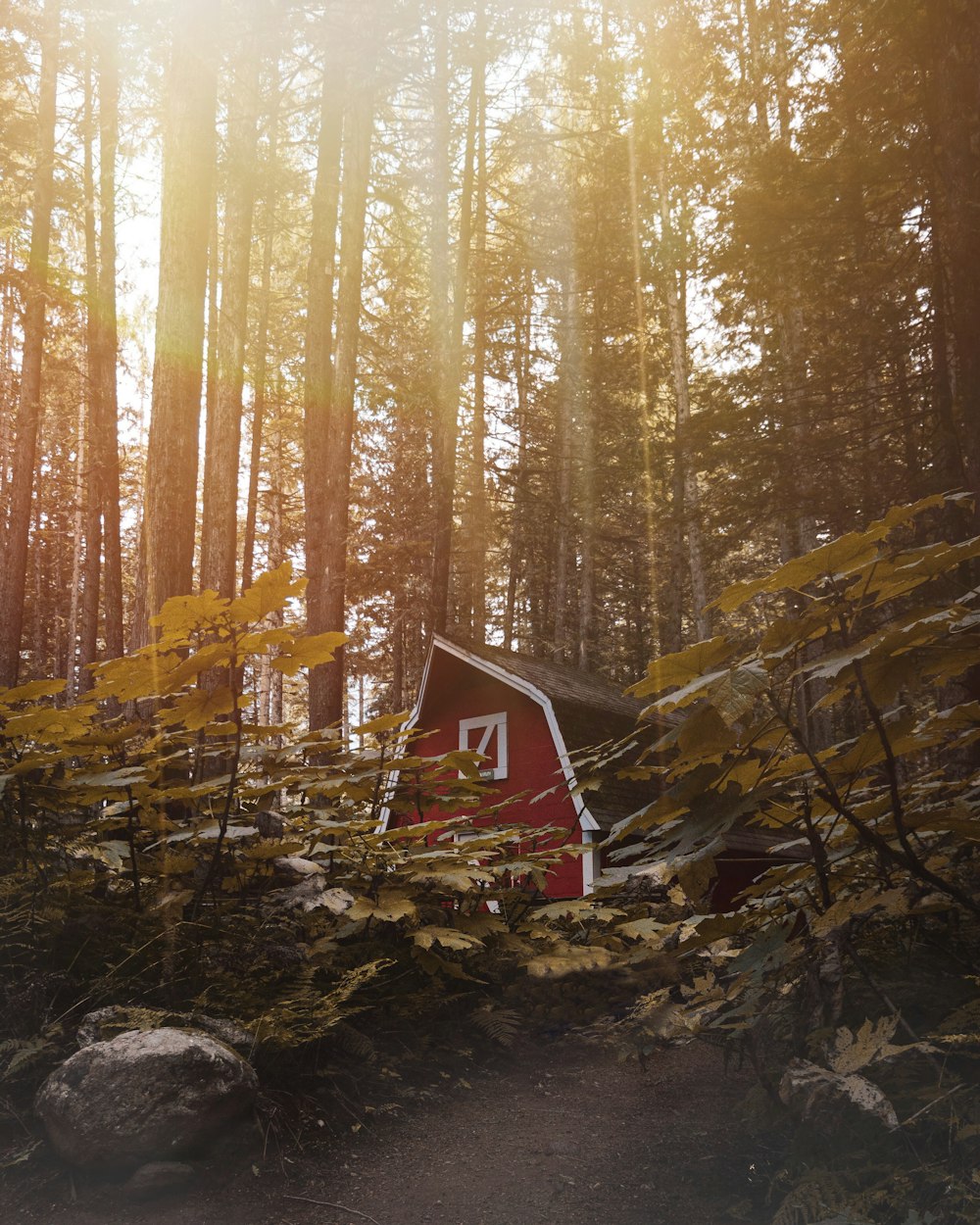 a red barn in the middle of a forest