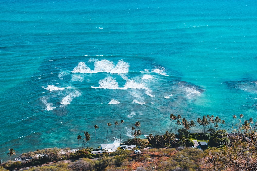 sea waves at daytime