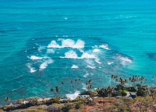 sea waves at daytime