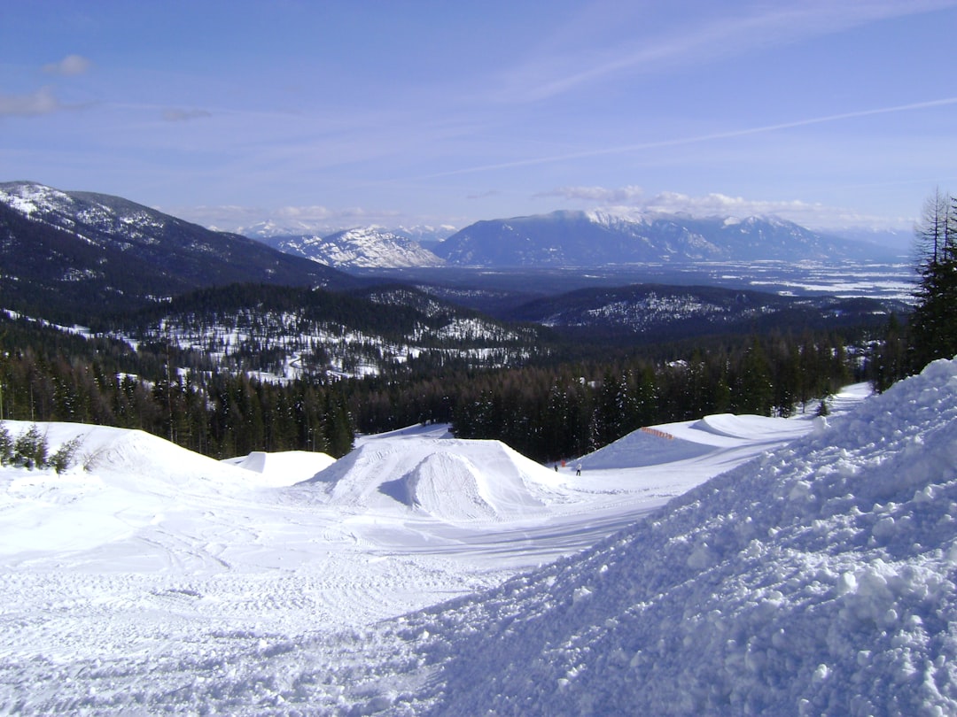 white snow covered field near the forest during day, Whitefish looking at Glacier National Park
