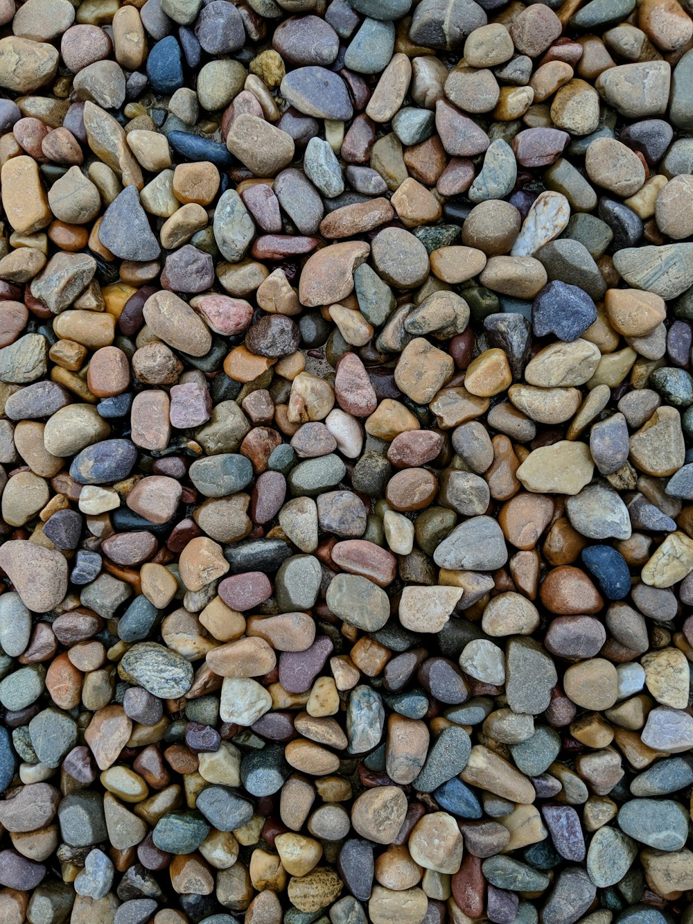 assorted-color of pebbles