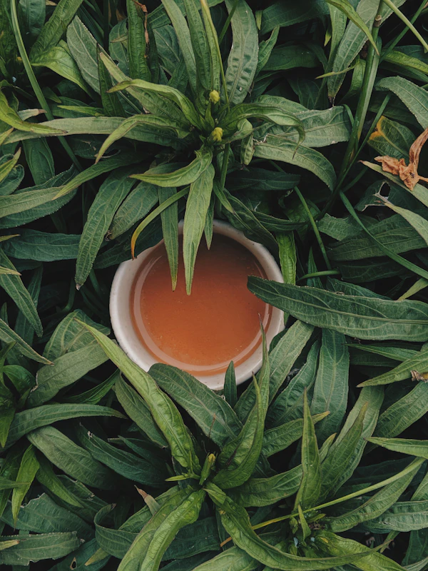 Tea show Chuyện trà Việt