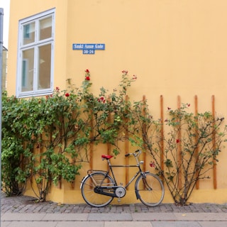 A black bicycle with a red seat is parked against a yellow wall with a street sign that reads 'Sankt Anna Gade 30-24'. Vines with green leaves and some red flowers are growing along the wall, supported by a wooden trellis. There is a cobbled sidewalk at the base of the wall.