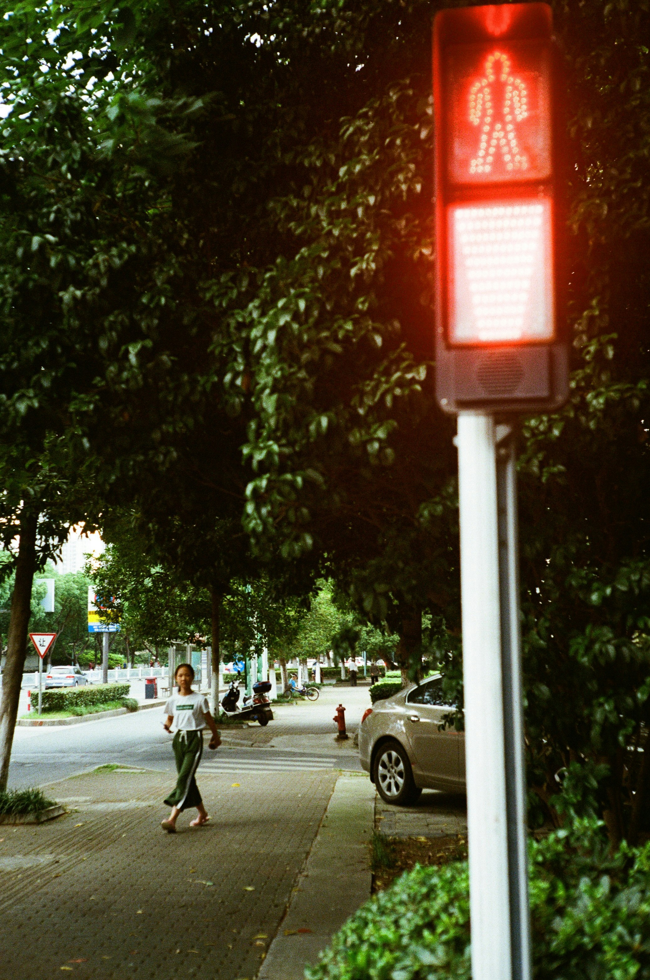 woman walking near signal light