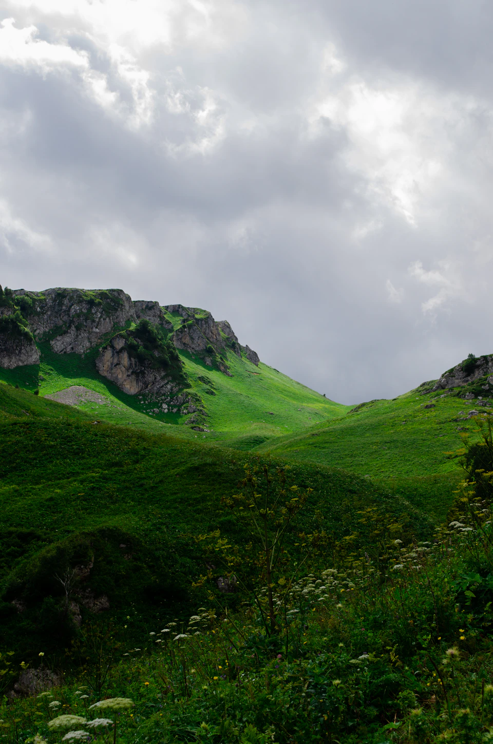 The image depicts a serene mountain landscape with a lush green valley below and a rocky cliff face on one side, covered in grasses and wildflowers. The sky above is filled with clouds, casting a soft light over the scene. In the distance, there are trees visible against this backdrop of nature's beauty.