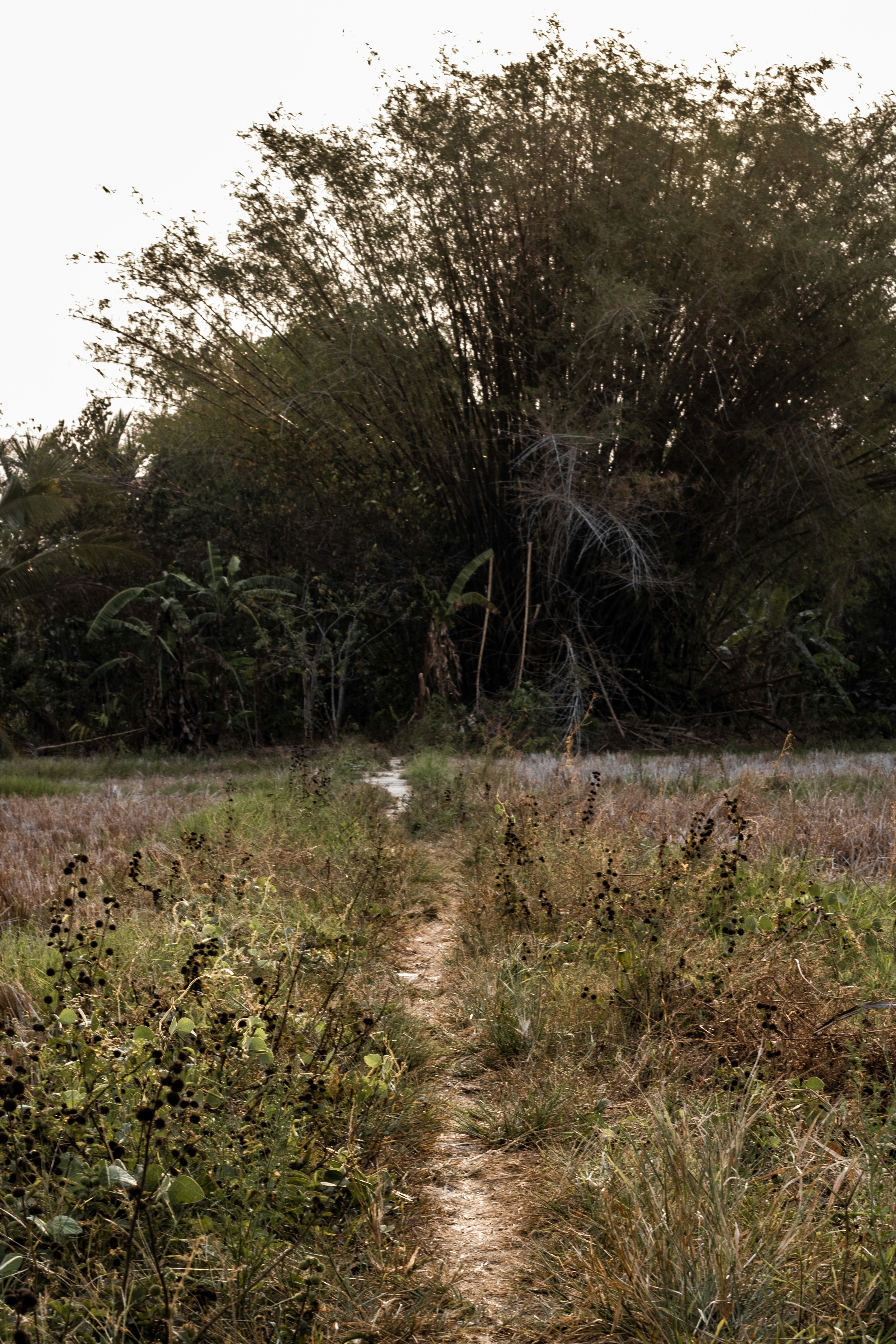 Photo by hobiindustri