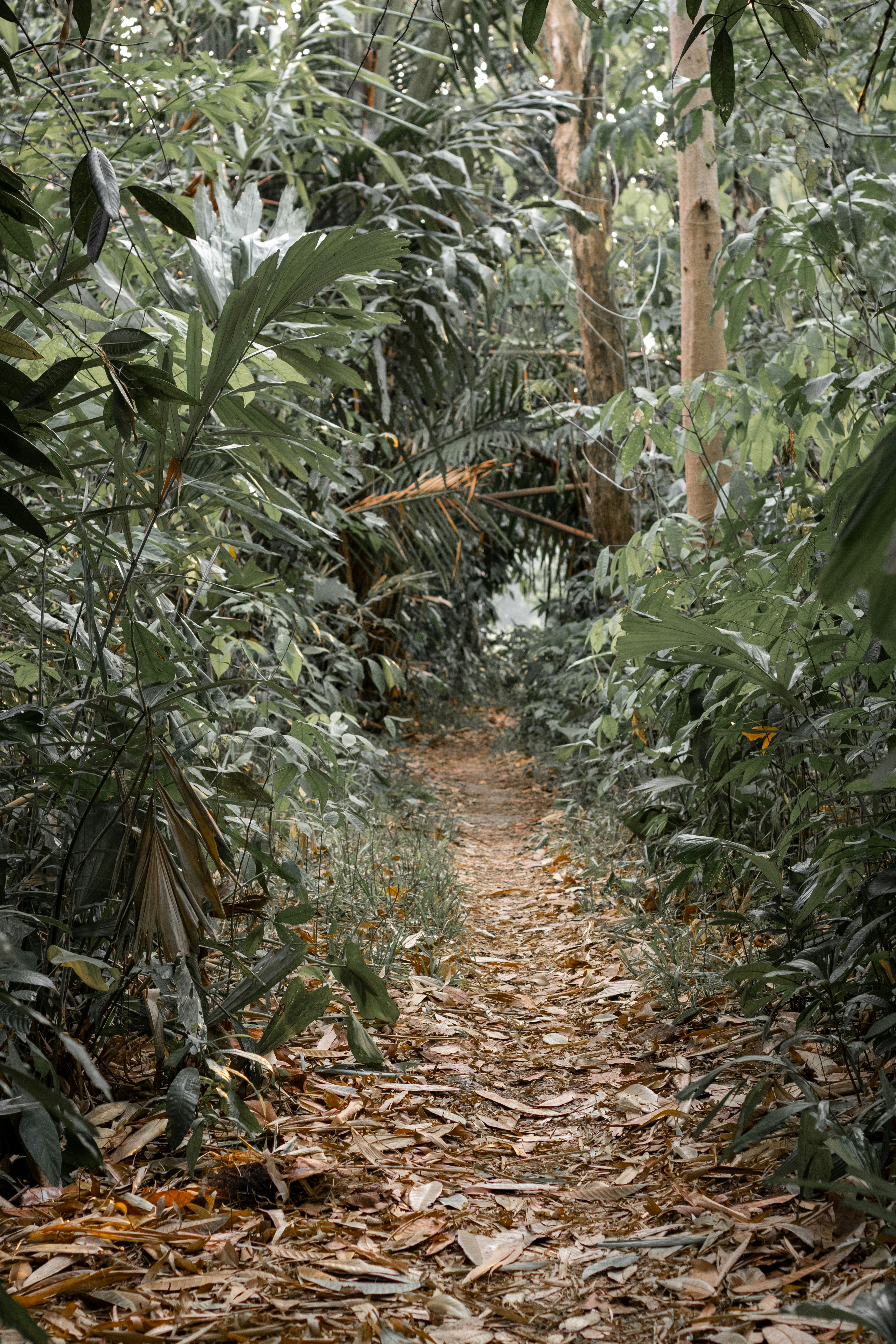 Photo by hobiindustri