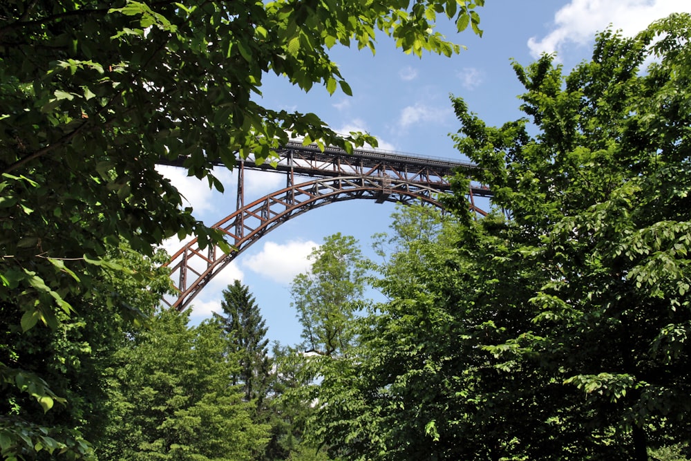 green-leafed trees under gray bridge