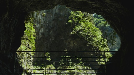 A natural cave opening frames a view of lush green vegetation covering rocky cliffs. Sunlight filters through the trees, casting dappled shadows inside the cave. A metal railing stands at the cave's entrance, suggesting a pathway.