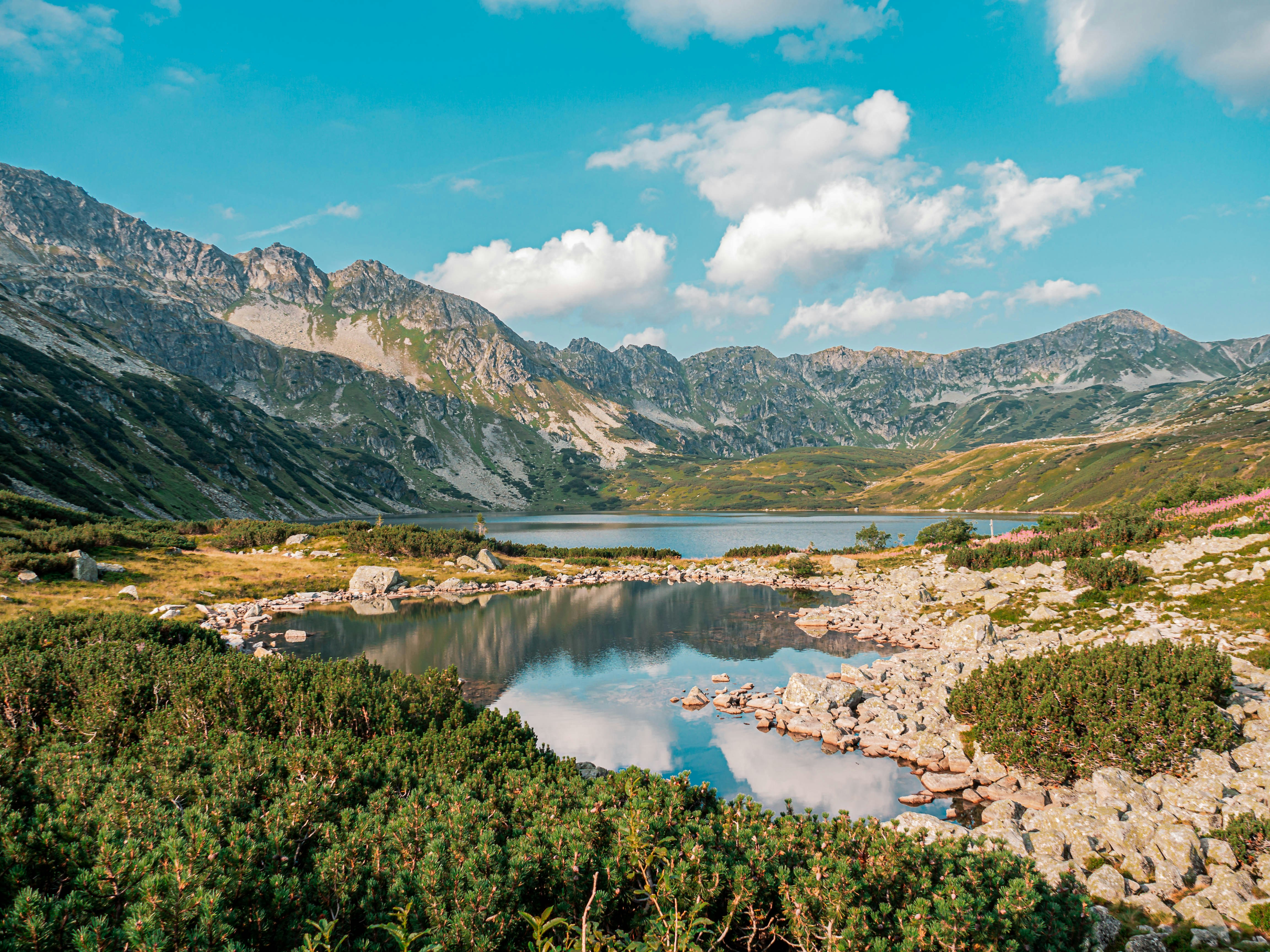 Photo by fedorchenkoalina