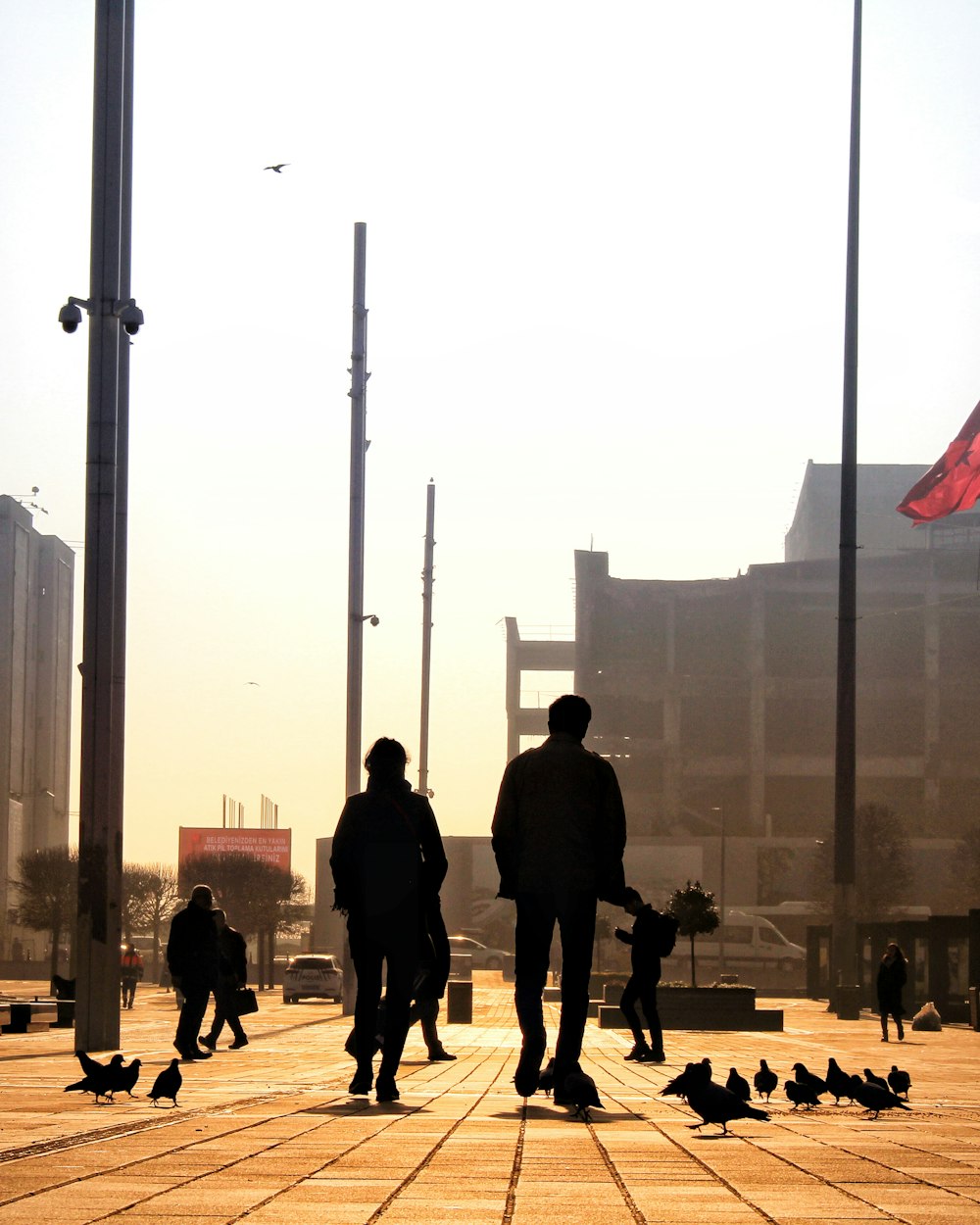 silhouette of people and pigeons across buildings during daytime
