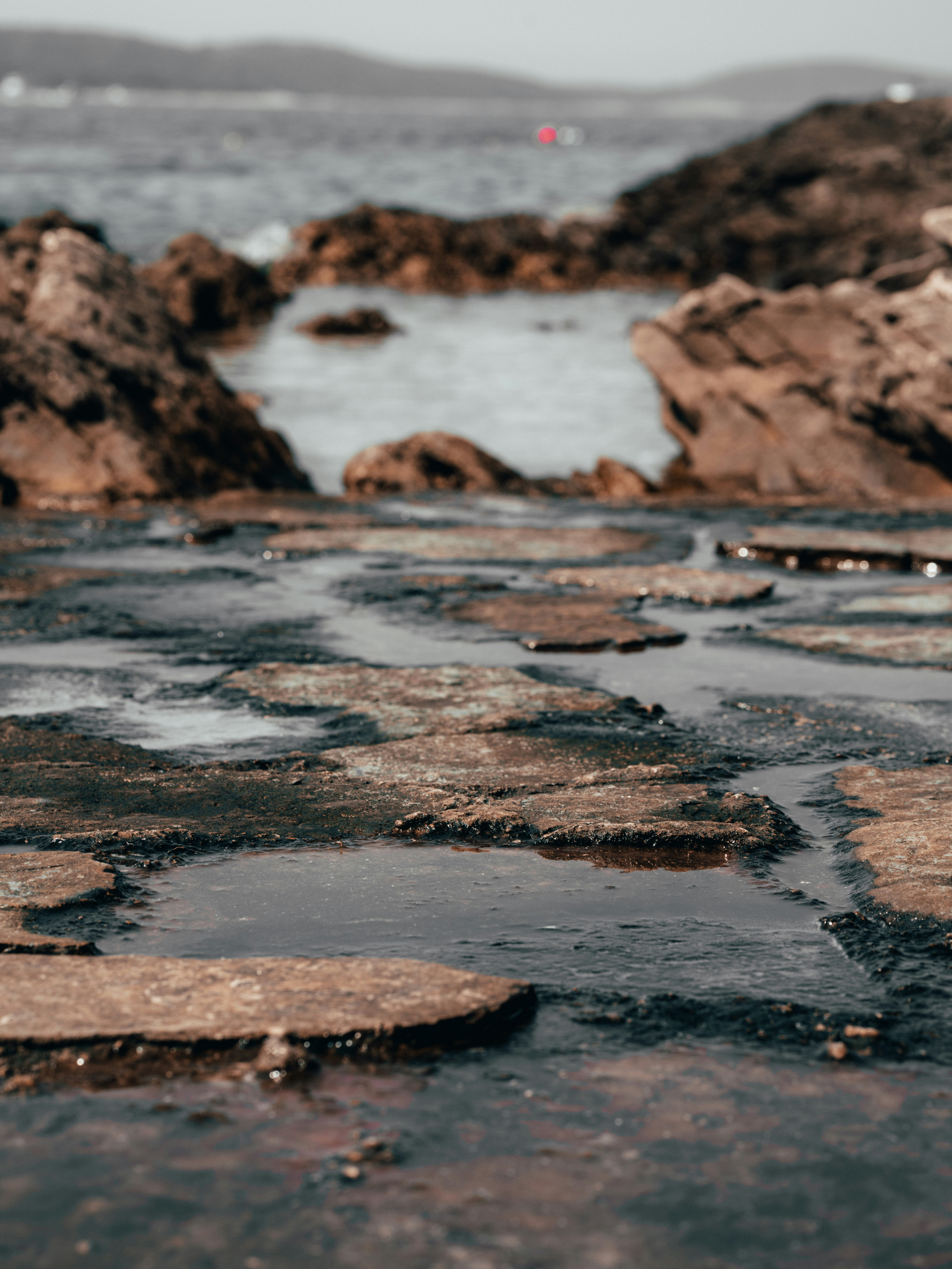 Photo by szabo_beni123