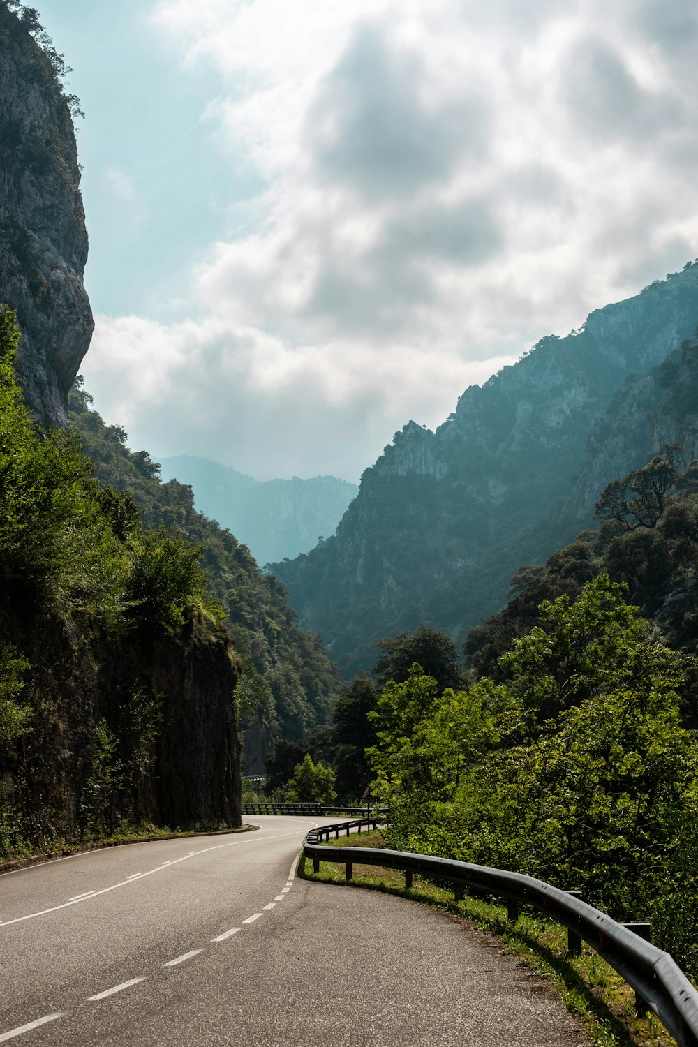 estrada perto da floresta