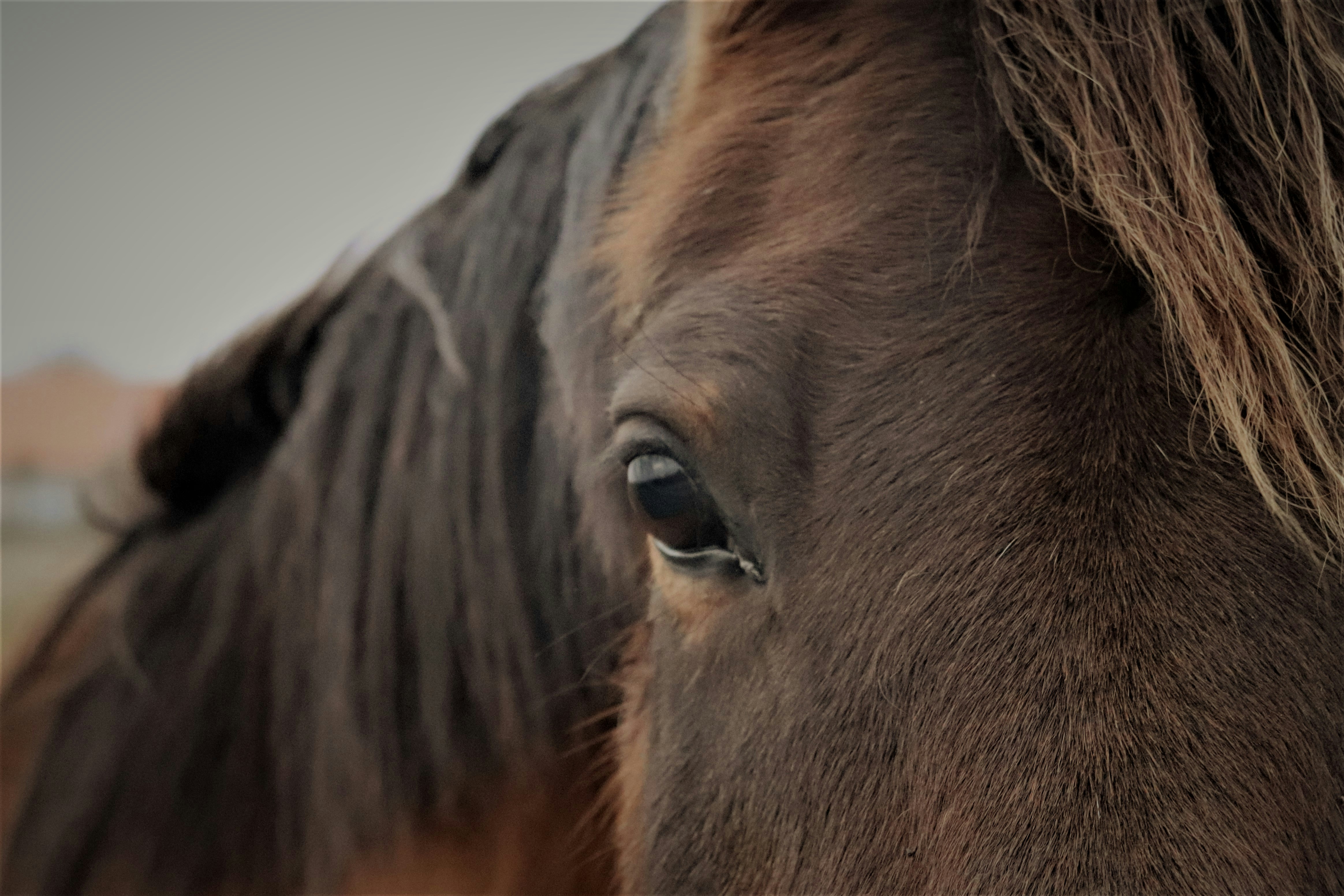 Photo by rachelforrez