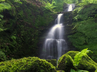 A serene waterfall cascading over moss-covered rocks surrounded by lush greenery.