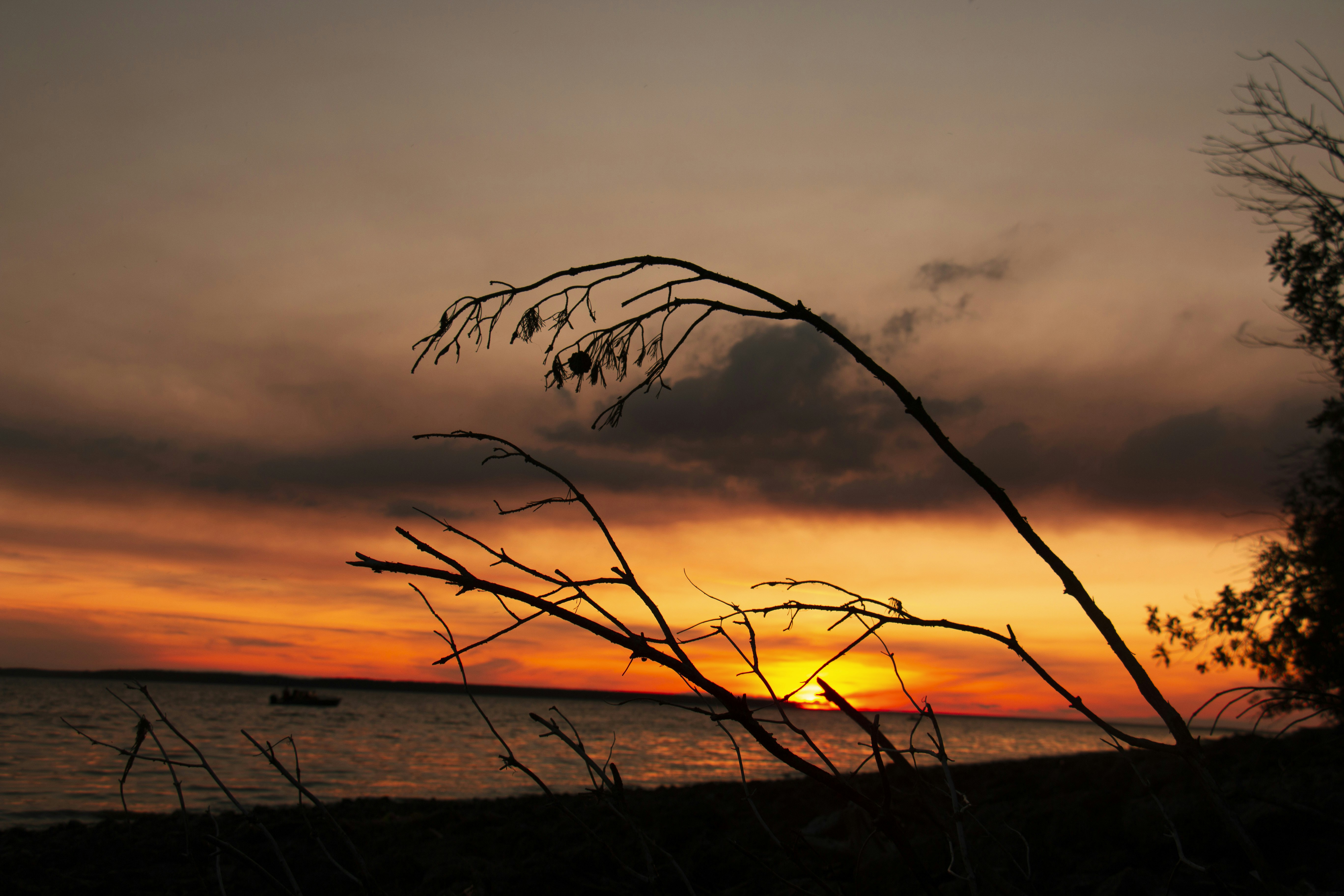 Photo by victorvictorov