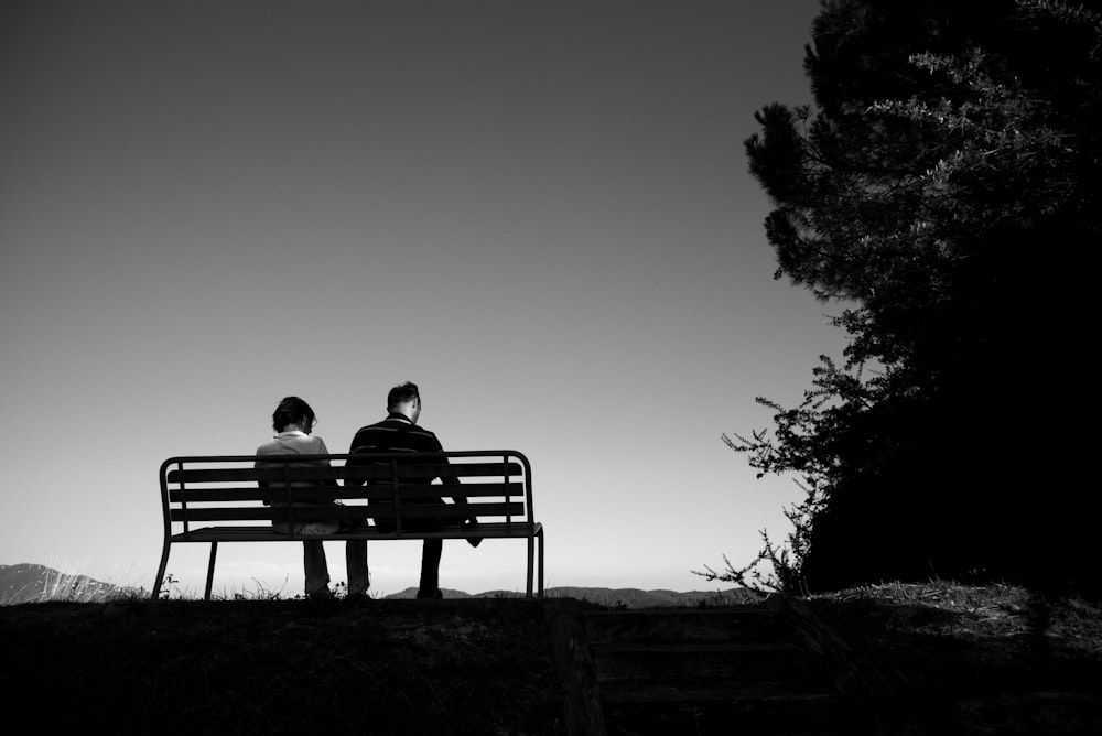 people sits on bench near trees