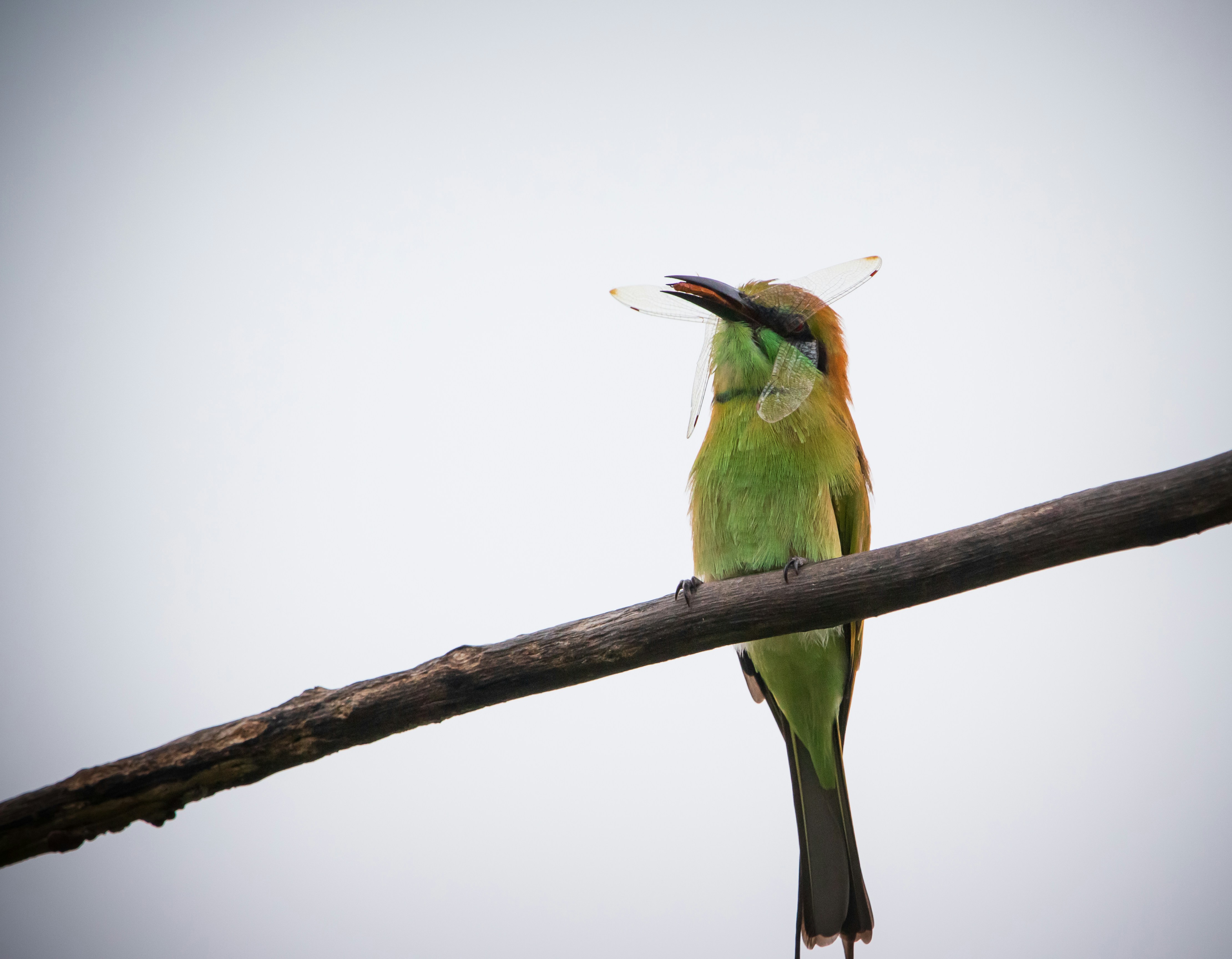 Photo by wildandbeyondbyvivek