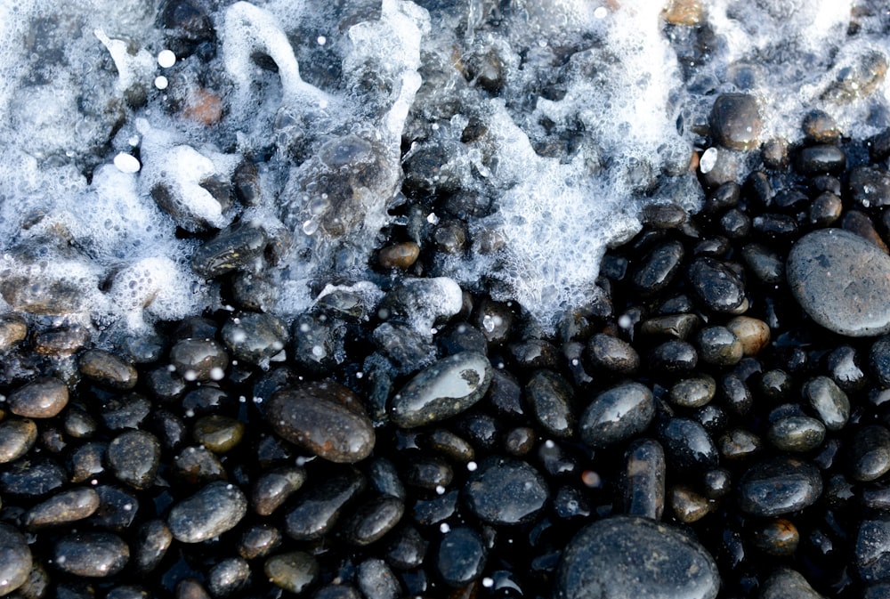 gray pebbles