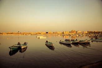 white and green boats on calm body of water