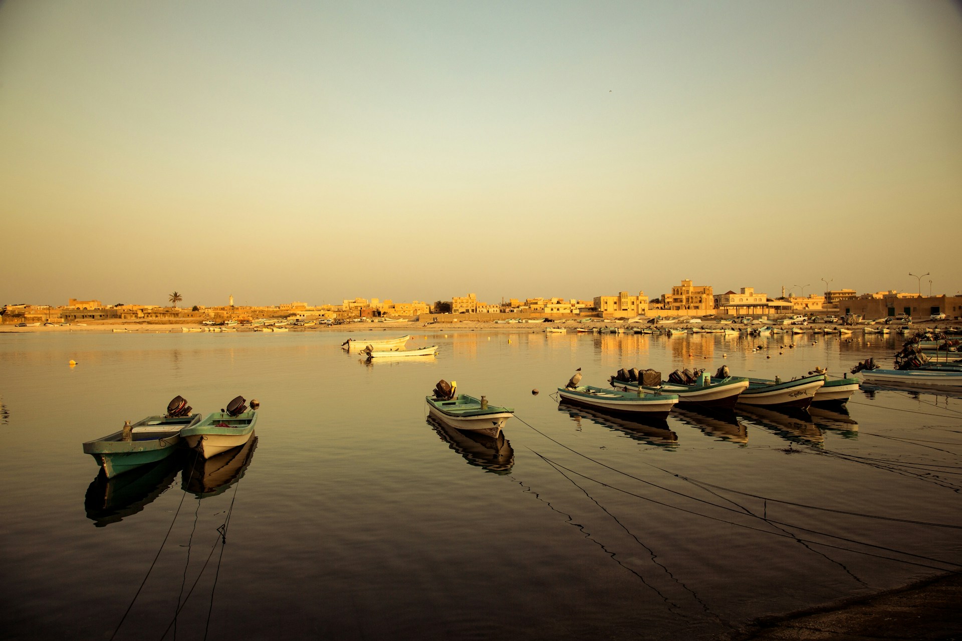 white and green boats on calm body of water